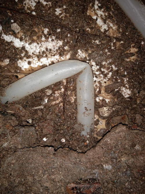 玛曲堵点精准查找